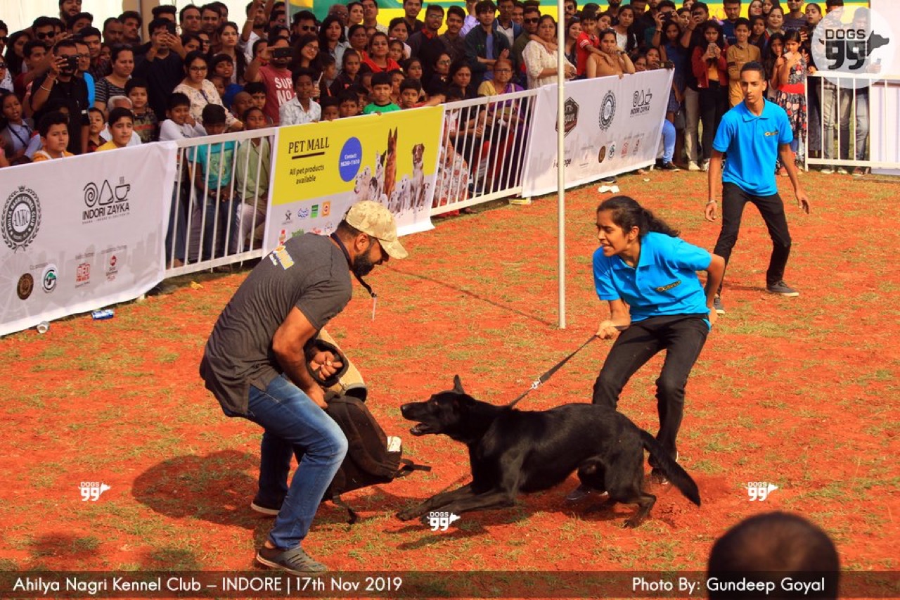 Furventures - Pet Adventures & Events - Photo 26